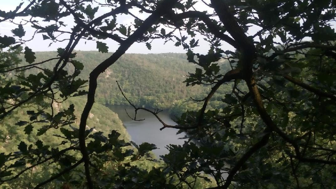 Vila Chaloupka v Podyjí - Podmolí Exteriér fotografie